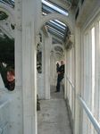 15456 Jenni and Hans in the temperate house.jpg